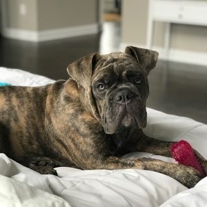 Meet your Posher, Billie